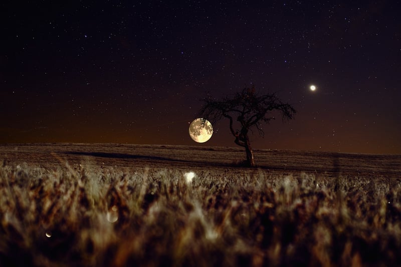 Moonlit Magic